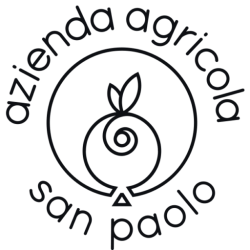 cropped-Logo_san-paolo.png